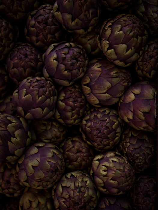 TOMAS RODAK, TOMs FLOWer CLUB, Kochbuch, Kochen, organic vegetable, Gemüse, Bio, TOMs FLOWer CLUB, Tomas Rodak, photography, Landhaus, country side, leaf photography, Blattfoto, Kitchen design, pictures for kitchen, Küchen, Küche, Farmers market, green still life