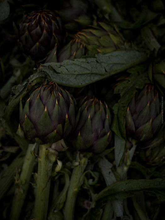 TOMAS RODAK, TOMs FLOWer CLUB, Kochbuch, Kochen, organic vegetable, Gemüse, Bio, TOMs FLOWer CLUB, Tomas Rodak, photography, Landhaus, country side, leaf photography, Blattfoto, Kitchen design, pictures for kitchen, Küchen, Küche, Farmers market, green still life