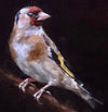 Authentic European Goldfinch Oil Painting by Czech artist Viktoria Penner. Available at TOMs ART FLOWer Club. Varnished canvas, 20.5 x 25.5 cm. Own this remarkable avian artwork.