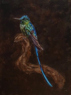 Long-tailed Sylph,  Oil Painting, Czech artist Viktoria Penner. Available at TOMs ART FLOWer Club. Own this exquisite piece of nature captured on canvas, 18 x 24 cm.