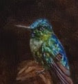 Unique Long-tailed Sylph Oil Painting by Czech artist Viktoria Penner. Available at TOMs ART FLOWer Club. Own this exquisite piece of nature captured on canvas, 18 x 24 cm.