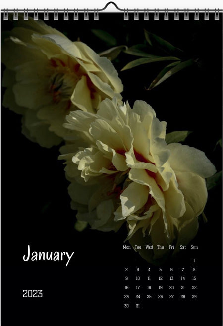 Peony calendar 2023, Wandkalender, Kalendar, Pfingstrose, Peonie, peonies, yellow peony, for sale by TOMs FLOWer CLUB.