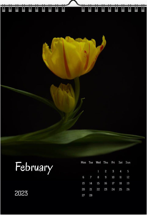 Tulip calendar 2023, Wandkalender, Kalendar, tulip, Tulip, Tulpe, yellow tulips, for sale by TOMs FLOWer CLUB. 