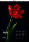 Tulip calendar 2023, Wandkalender, Kalendar, tulip, Tulip, Tulpe, white tulips, for sale by TOMs FLOWer CLUB. 