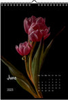 Tulip calendar 2023, Wandkalender, Kalendar, tulip, Tulip, Tulpe, white tulips, for sale by TOMs FLOWer CLUB.