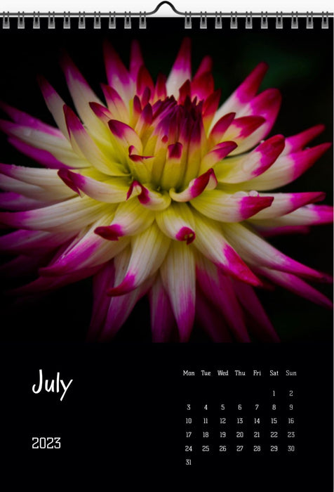 Dahlia calendar 2023, Wandkalender, Kalendar, Dahlia, Dahlien, Dahlias, for sale by TOMs FLOWer CLUB.