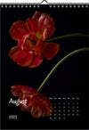 Tulip calendar 2023, Wandkalender, Kalendar, tulip, Tulip, Tulpe, white tulips, for sale by TOMs FLOWer CLUB. 