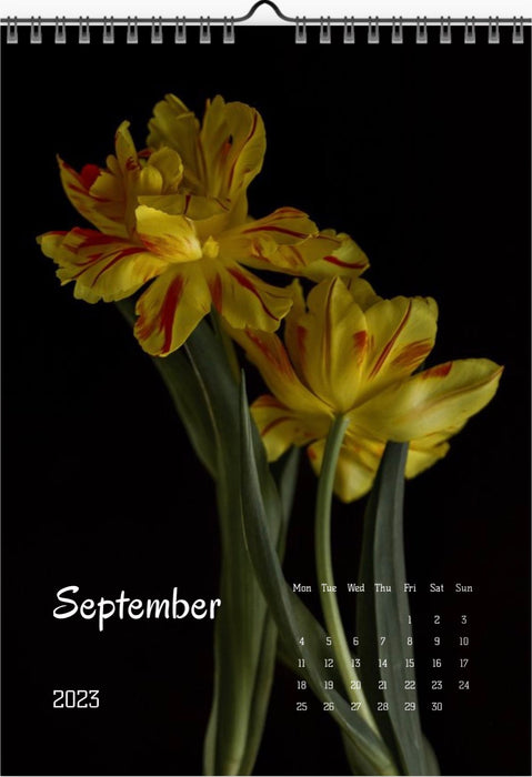 Tulip calendar 2023, Wandkalender, Kalendar, tulip, Tulip, Tulpe, yellow tulips, for sale by TOMs FLOWer CLUB.