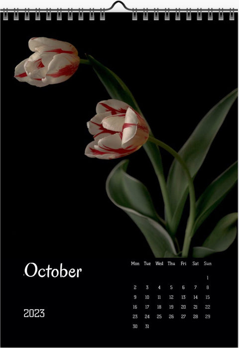 Tulip calendar 2023, Wandkalender, Kalendar, tulip, Tulip, Tulpe, white tulips, for sale by TOMs FLOWer CLUB.