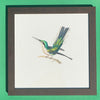 Hummingbird print on paper, 25 x 25cm, by Rafael Neff (represented by LUMAS), from the "Small Open Edition", 2011, in brown wooden frame 28x28cm behind glass for sale by TOMs FLOWer CLUB.