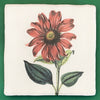 Echinacea purpurea tile, glazed ceramic on terracotta, for sale at TOMs FLOWer CLUB.