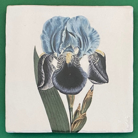 Iris Germanica tile, glazed ceramic on terracotta, for sale at TOMs FLOWer CLUB.