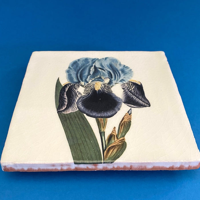 Iris Germanica tile, glazed ceramic on terracotta, for sale at TOMs FLOWer CLUB.