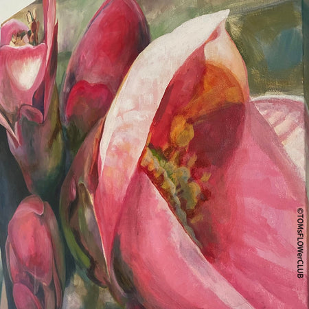 Vera Käufeler, Apple Blossom, Apfelblüte, Schweizer Künstler, rosa, pink pink lover, floral paintings for sale at TOMS FLOWer CLUB, online Kunstgalerie. 