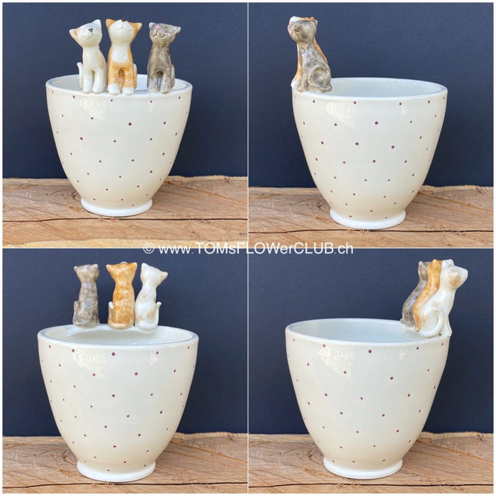 White, hand made, unique, ceramic plant pot with burgundy dots without drain hole with three colourful cats on the pot top directly from the artist's work shop, offered for sale by TOMs FLOWer CLUB.