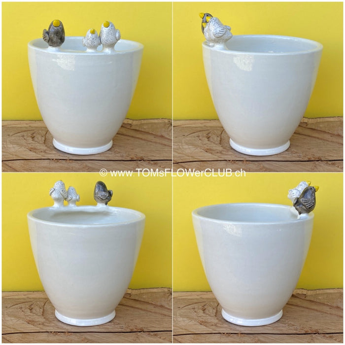White, hand made, unique, ceramic plant pot without drain hole with three colourful birds on the pot top directly from the artist's work shop, offered for sale by TOMs FLOWer CLUB.