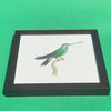 Hummingbird print on paper, 25 x 25cm, by Rafael Neff (represented by LUMAS), from the "Small Open Edition", 2011, in brown wooden frame 28x28cm behind glass for sale by TOMs FLOWer CLUB.