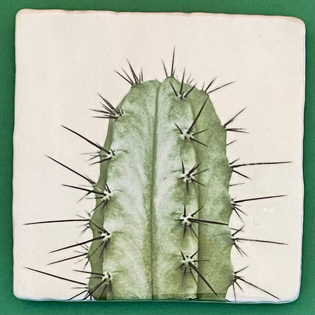 Cereus tile, glazed ceramic on terracotta, for sale at TOMs FLOWer CLUB.