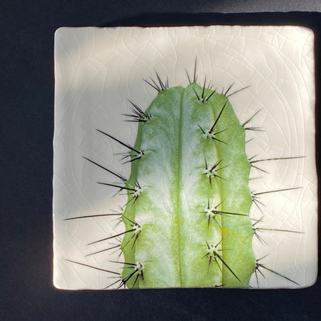 Cereus tile, glazed ceramic on terracotta, for sale at TOMs FLOWer CLUB.