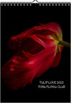 Tulip calendar 2023, Wandkalender, Kalendar, tulip, Tulip, Tulpe, red tulips, for sale by TOMs FLOWer CLUB. 