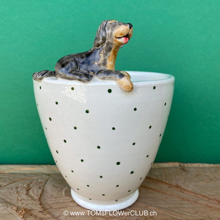 White, hand made, unique, ceramic plant pot with green dots without drain hole with Gordon Setter dog on the pot top directly from the artist's work shop, offered for sale by TOMs FLOWer CLUB.