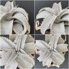 Dyckia marnier-lapostollei, organically grown tropical plants for sale at TOMs FLOWer CLUB