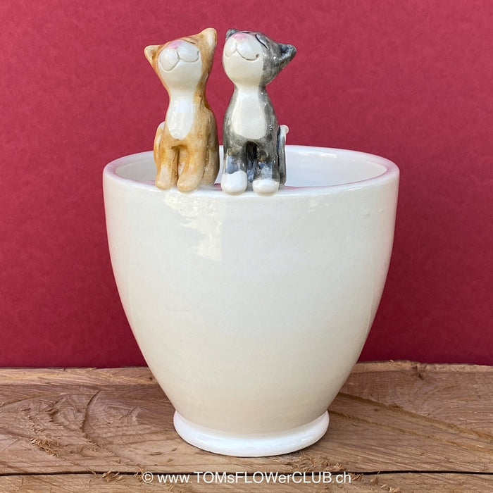 White, hand made, unique, ceramic plant pot without drain hole with one ginger and one black cat on the pot top directly from the artist's work shop, offered for sale by TOMs FLOWer CLUB.