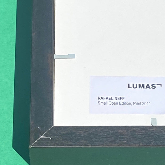 Hummingbird print on paper, 25 x 25cm, by Rafael Neff (represented by LUMAS), from the "Small Open Edition", 2011, in brown wooden frame 28x28cm behind glass for sale by TOMs FLOWer CLUB.