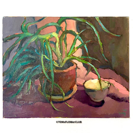 Ivans Mazeins, Still Life With Aloe Vera, Aloe Vera, Aloe,  Ivans Mazeins, Latvian artist, still-life with aloe, Stillleben mit Aloe, TOMs FLOWerCLUB, Toms ART FLOWer CLUB, Kunstwerk, Bild, zatisie s aloe vera, 