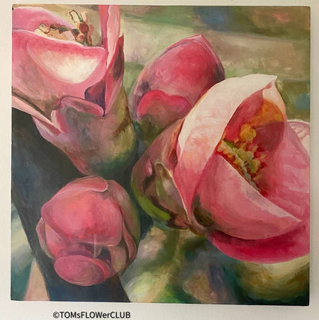 Vera Käufeler, Apple Blossom, Apfelblüte, Schweizer Künstler, rosa, pink pink lover, floral paintings for sale at TOMS FLOWer CLUB, online Kunstgalerie. 
