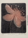 Jan Otava, Czech artist, Apple Tree Flower, etching on paper 23/50, 1989 for sale at TOMs FLOWer CLUB.