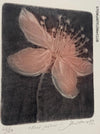 Jan Otava, Czech artist, Apple Tree Flower, etching on paper 23/50, 1989 for sale at TOMs FLOWer CLUB.