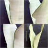 Sansevieria Trifasciata Moonshine, white snake plant, organically grown succulent plants for sale at TOMs FLOWer CLUB.