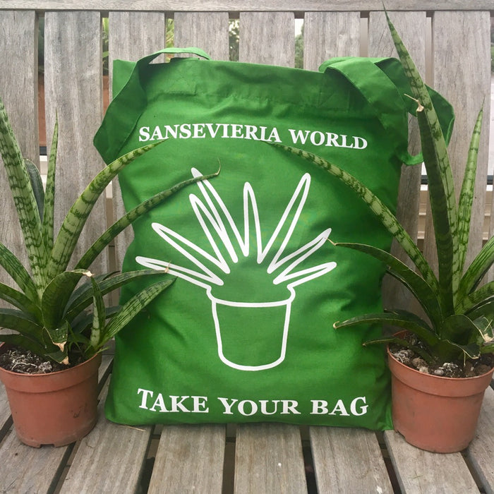 TAKE YOUR BAG, green bag, grüne Tasche, tote, totes, shopping bag, sansevieria, Schiegermiutterzunge, snake plant, sansevieria world, botanischer garten, botanical garden, TOMs FLOWer CLUB, organic cotton, NEUTRAL® and FAIRTRADE®