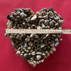 Hand made Sculpture, Heart of Wood at TOMs FLOWer CLUB for sale / zum Verkaufen